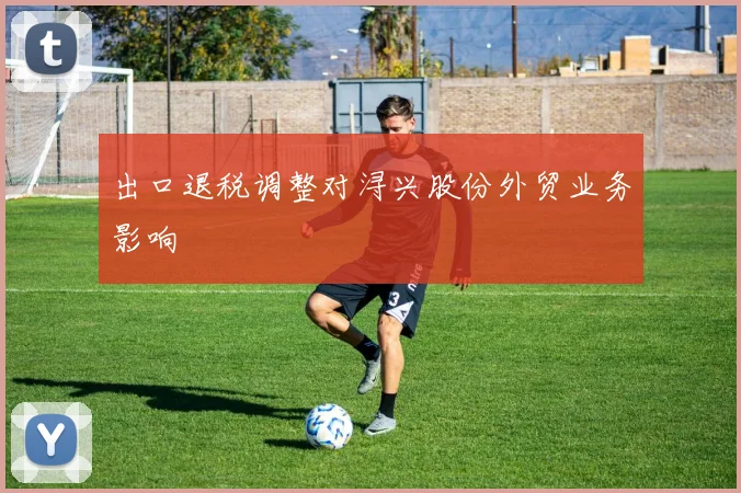 出口退税调整对浔兴股份外贸业务影响