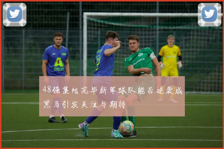 48强集结完毕新军球队能否逆袭成黑马引发关注与期待