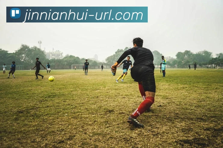 金年会平台生态图